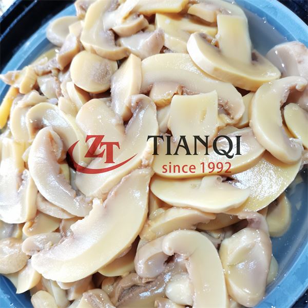 Brined Salted King Trumpet Mushroom