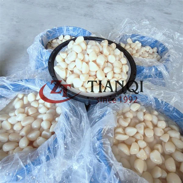 드럼의 소금물에 담긴 고품질 마늘 정향