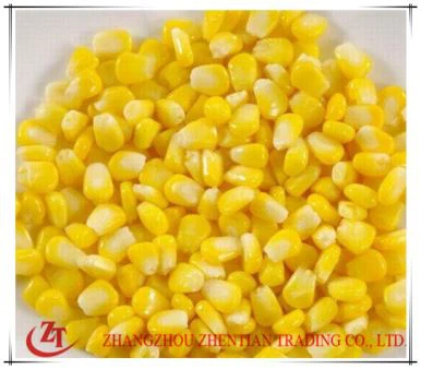 건강 통조림 옥수수 조리법