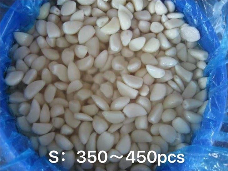 China New Crop Hot Sale Garlic Cloves in Brine
